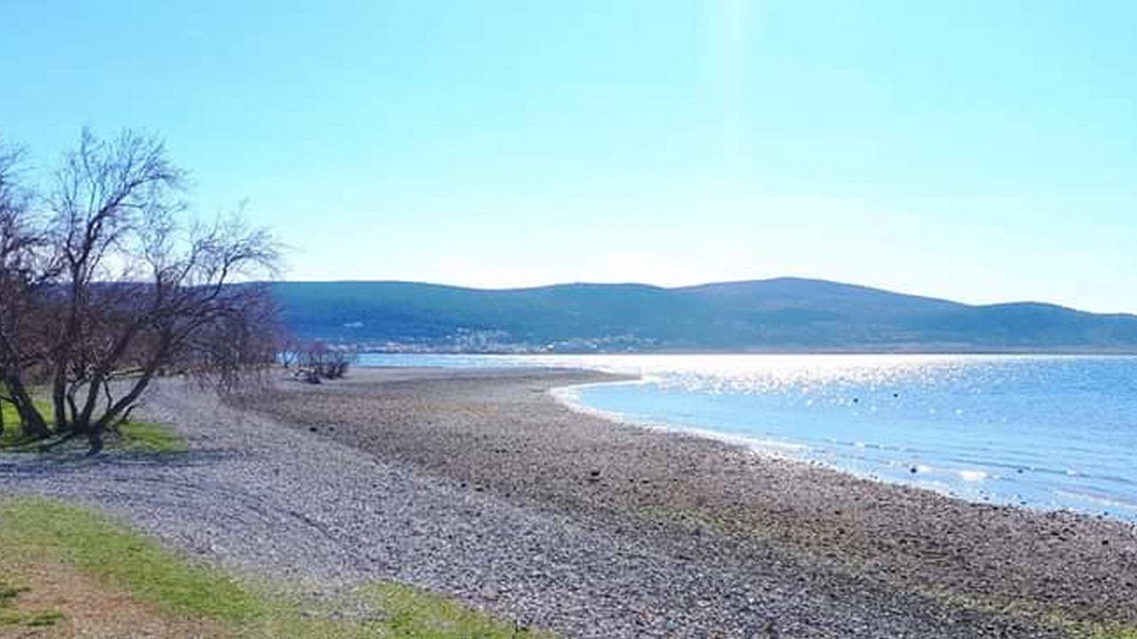 Photo of Others in Seline