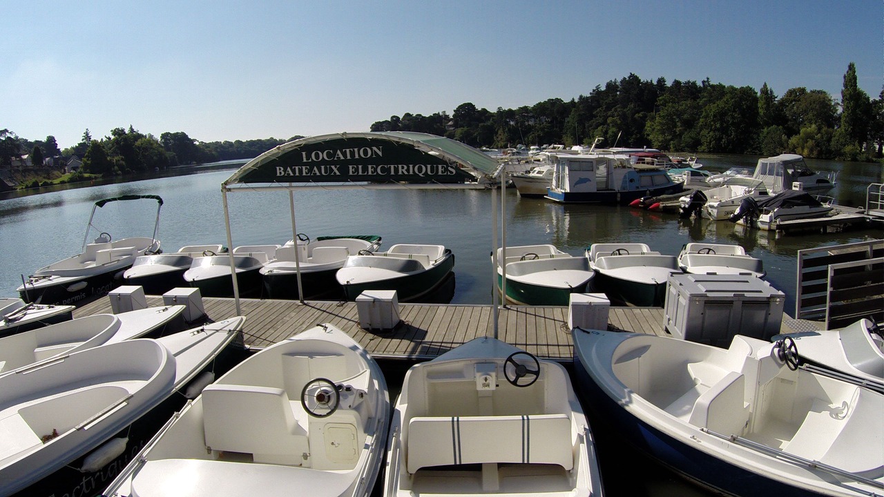 Photo of Others in Suce-sur-Erdre