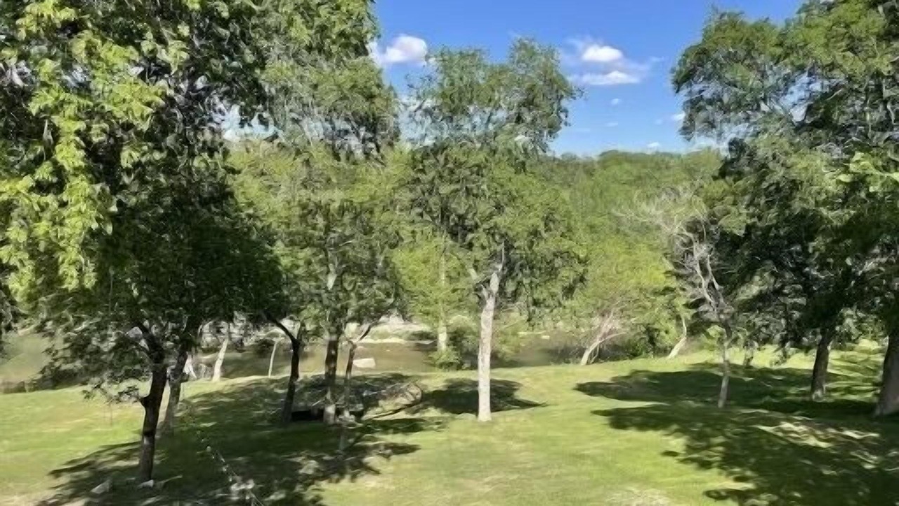 Photo of Others in Spring Branch