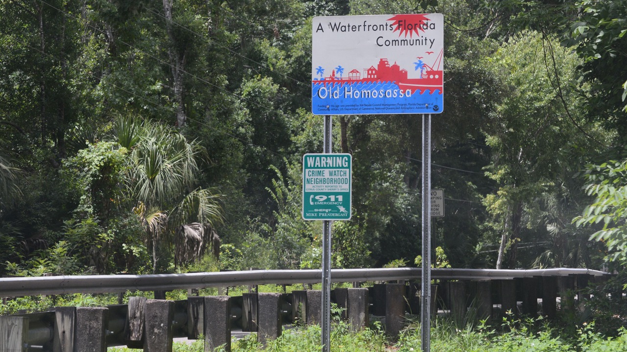 Photo of Others in Homosassa