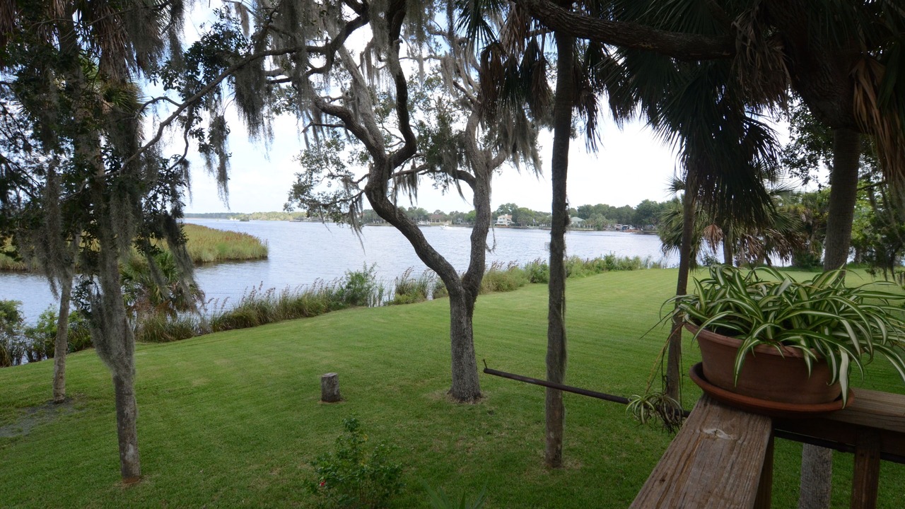 Photo of Others in Homosassa