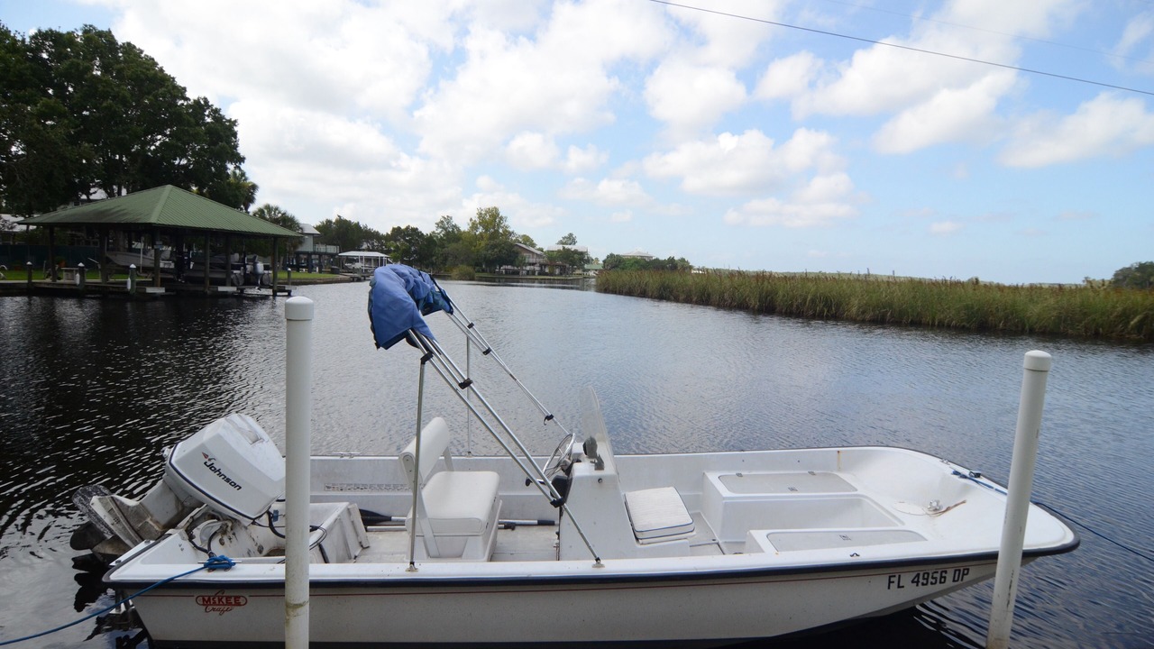 Photo of Others in Homosassa