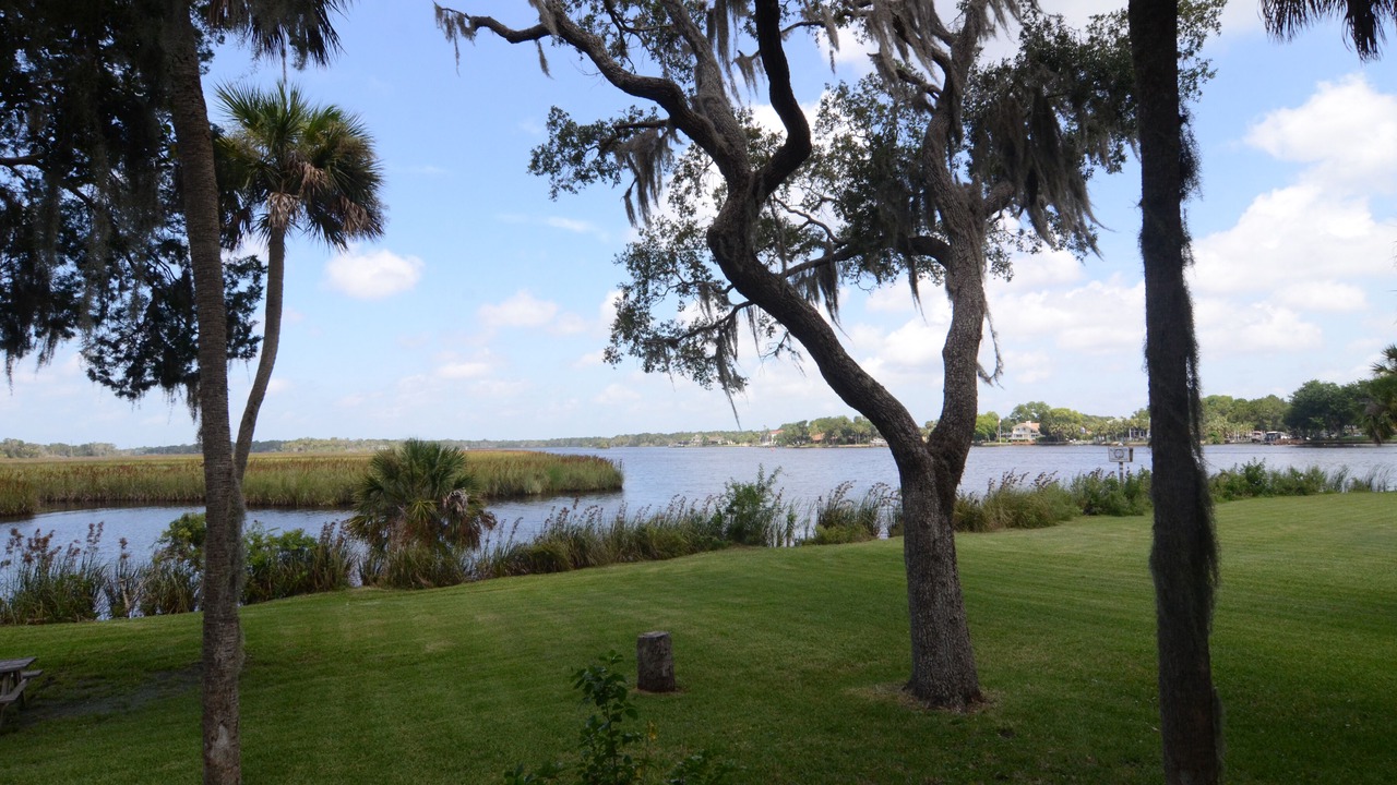 Photo of Outdoor in Homosassa