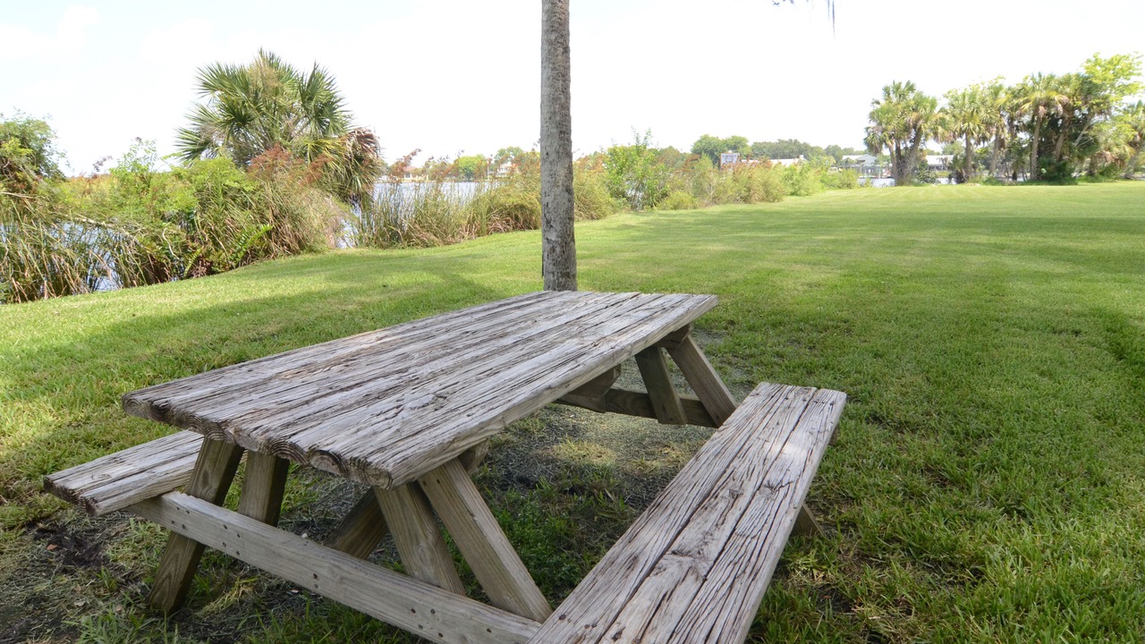 Photo of Outdoor in Homosassa