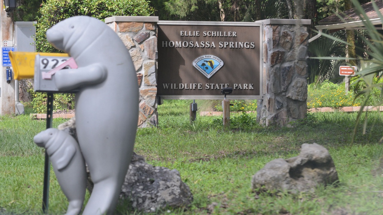 Photo of Outdoor in Homosassa