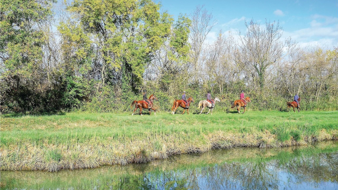 Photo of Others in Aigues-Mortes