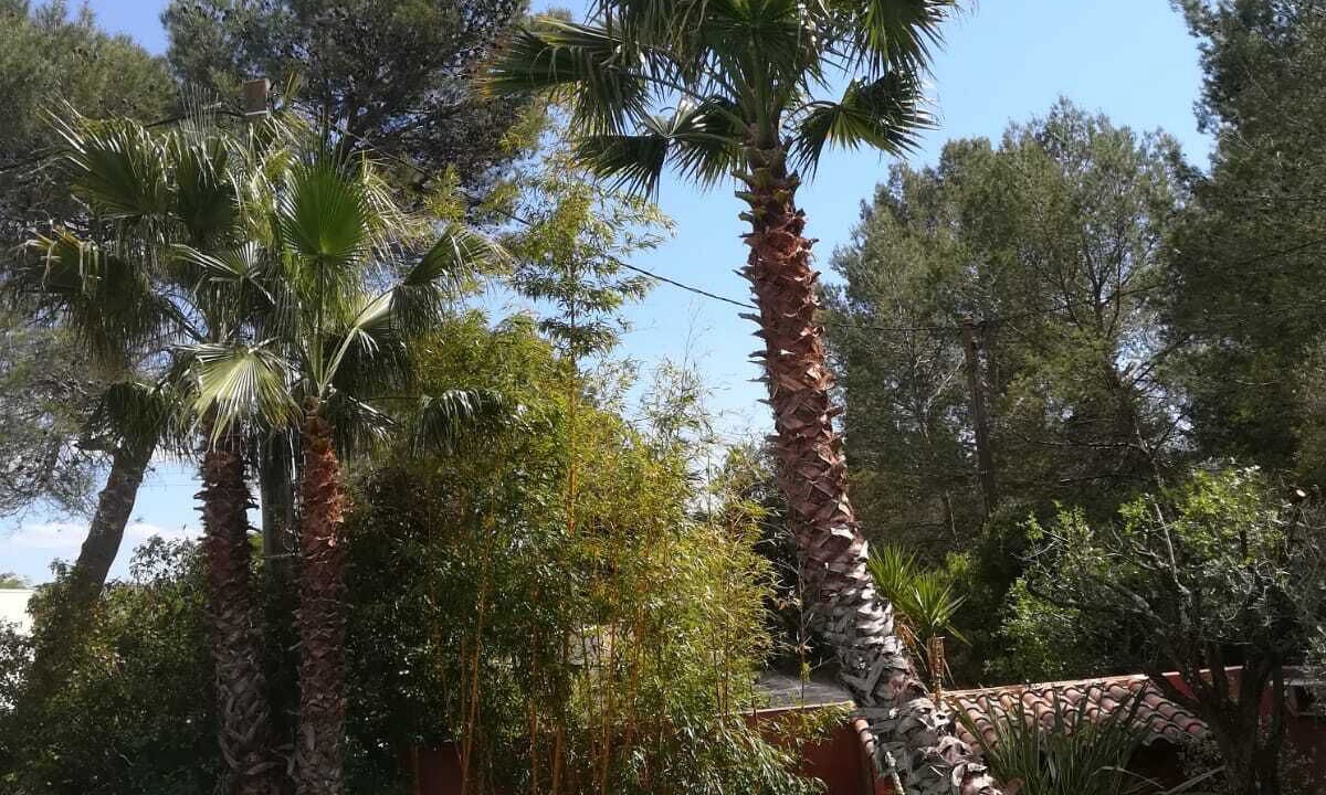 Photo of Outdoor in Aubais