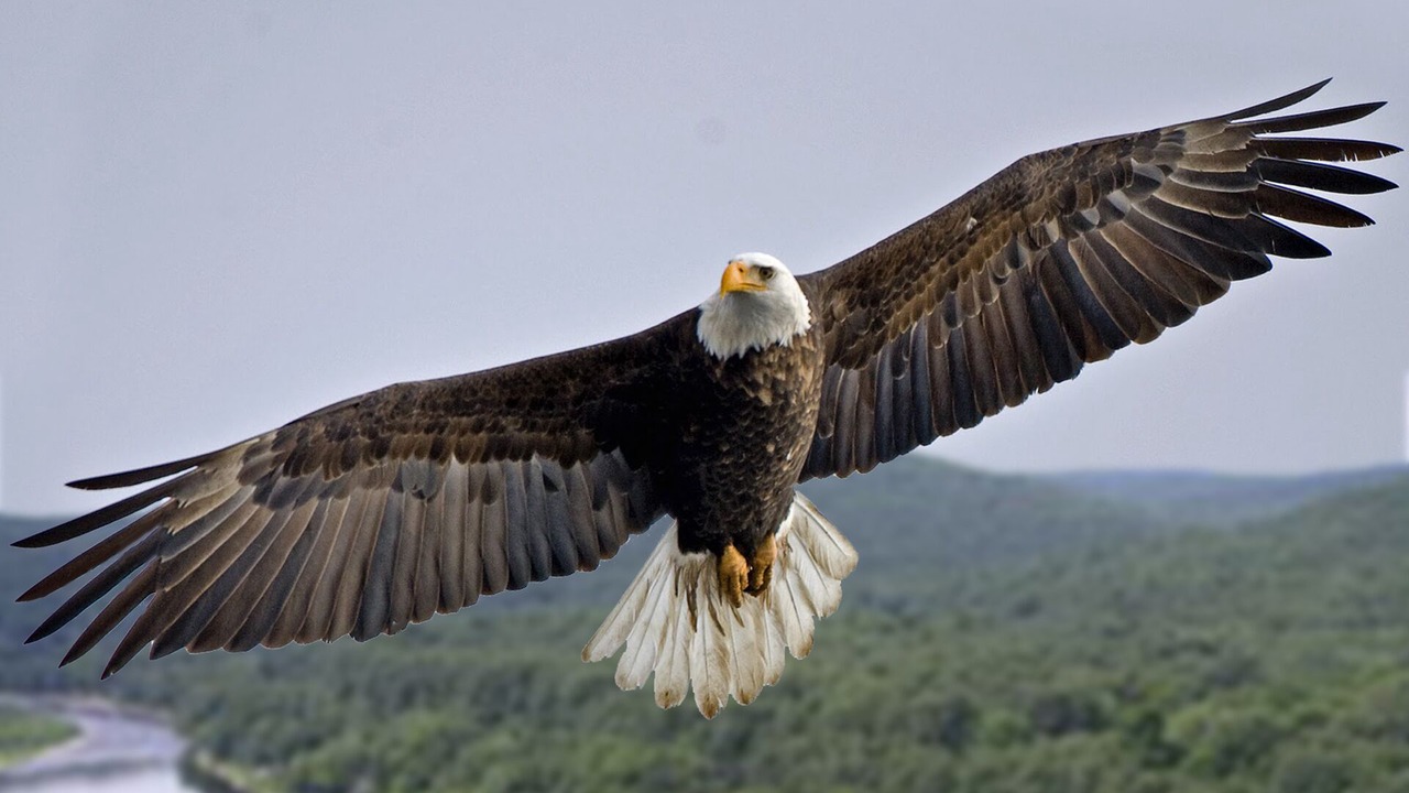 Photo of Outdoor in Barryville