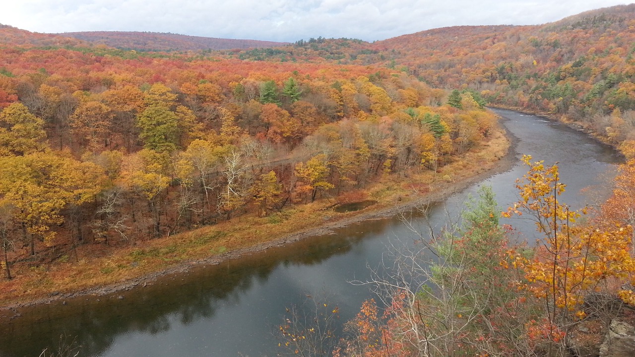 Photo of Others in Barryville