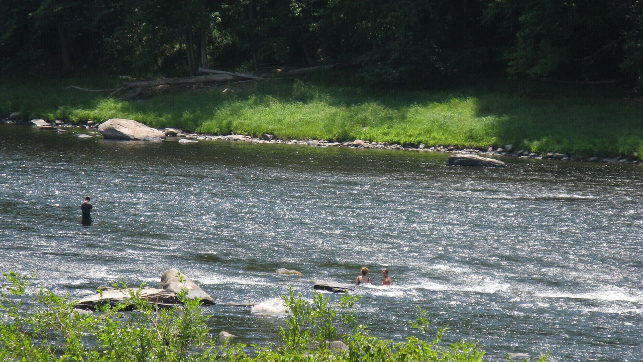 Photo of Others in Barryville