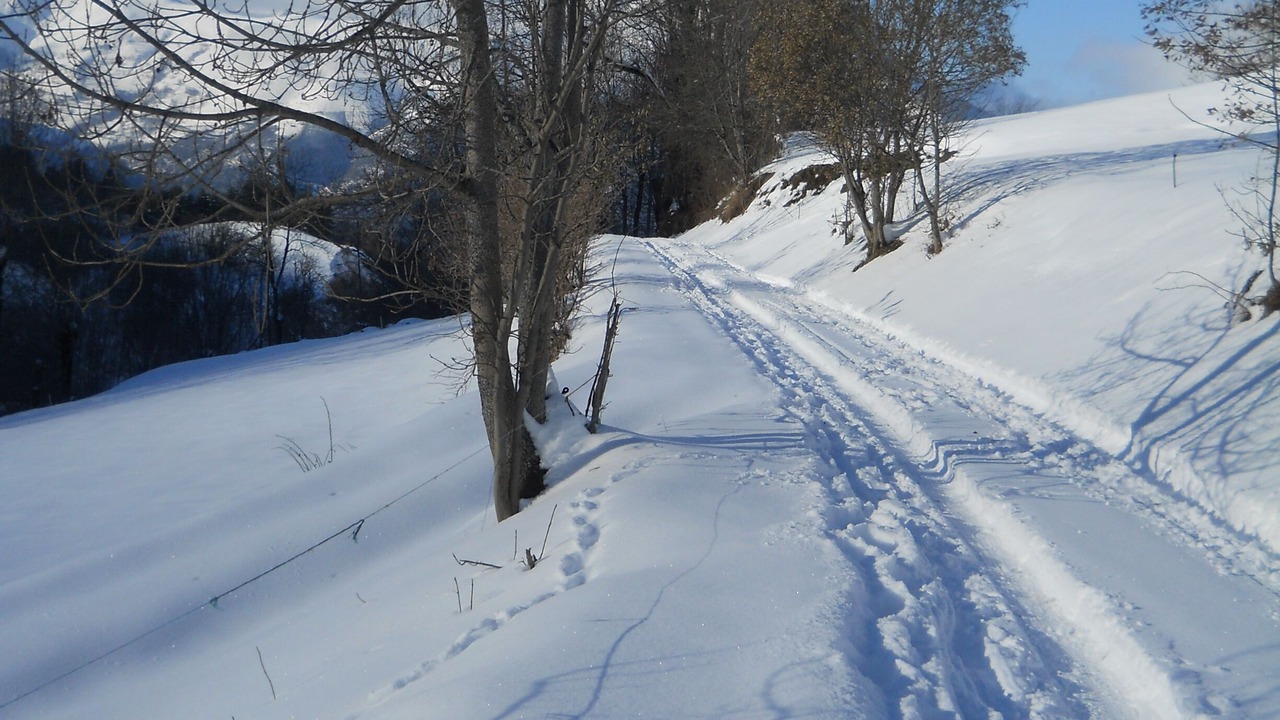 Photo of Others in Estensan