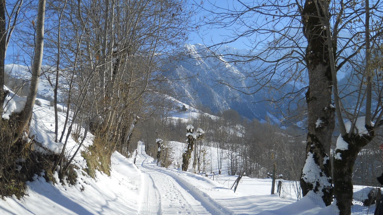 Photo of Others in Estensan