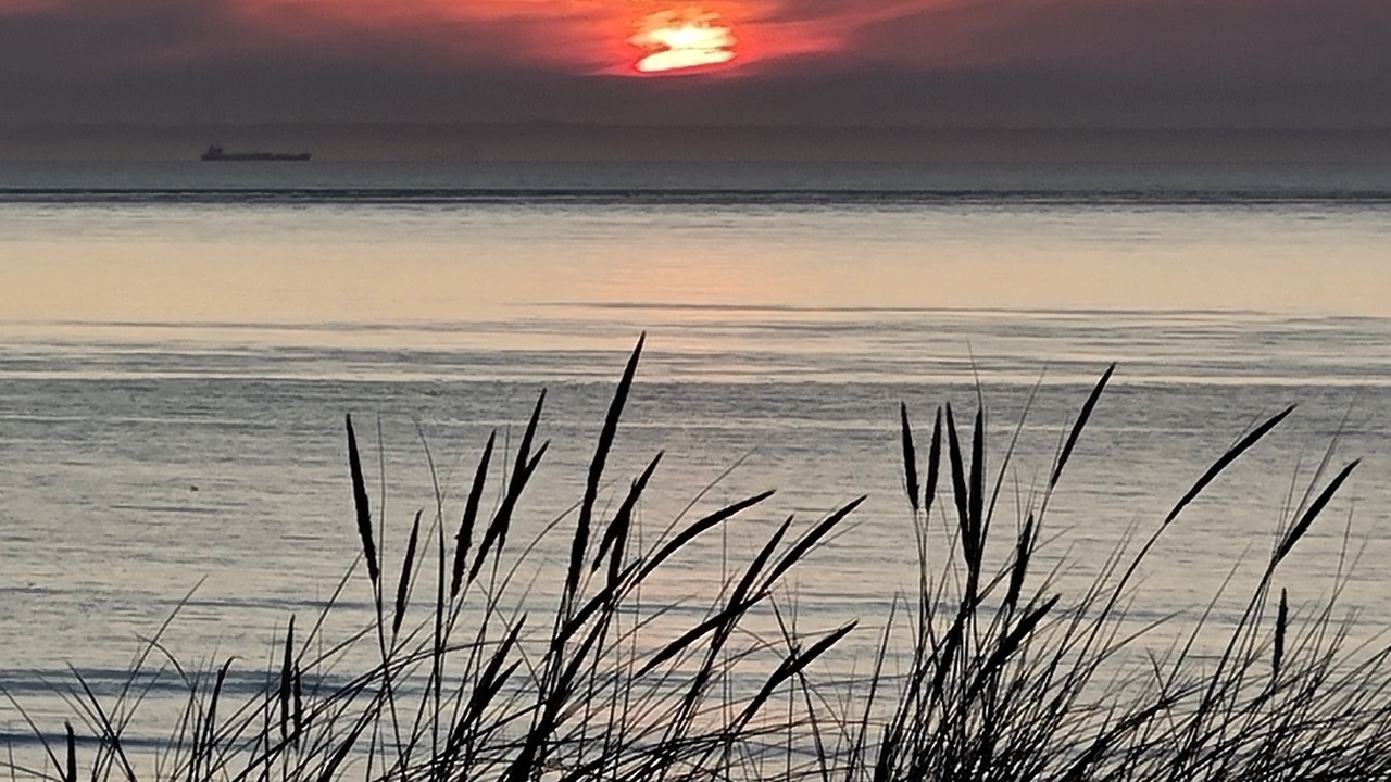 Photo of Others in Wissant