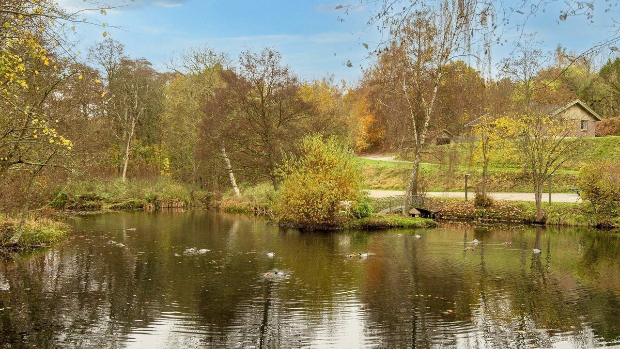 Photo of Others in Femmøller