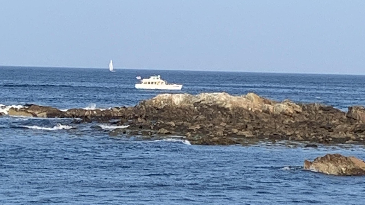 Photo of Others in Cape Neddick