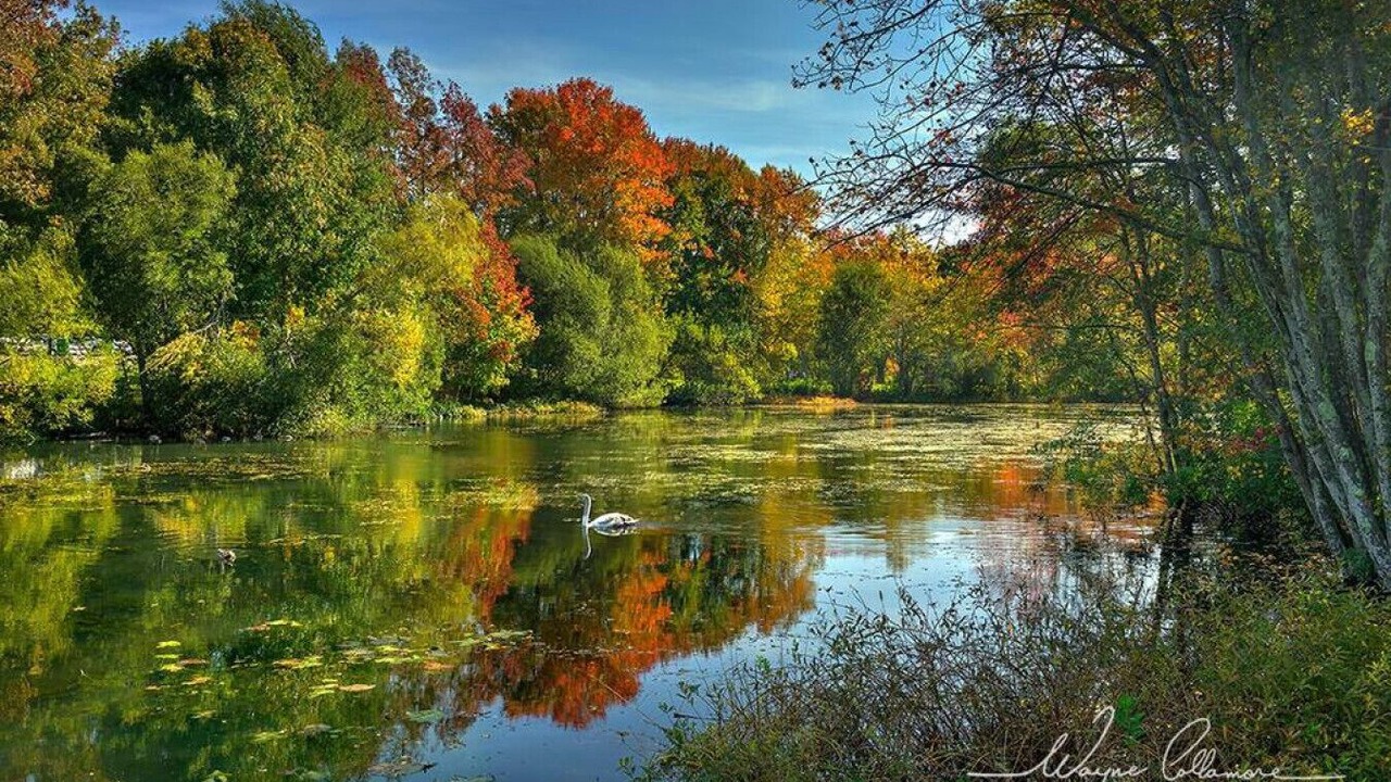 Photo of Others in Plymouth Cultural District