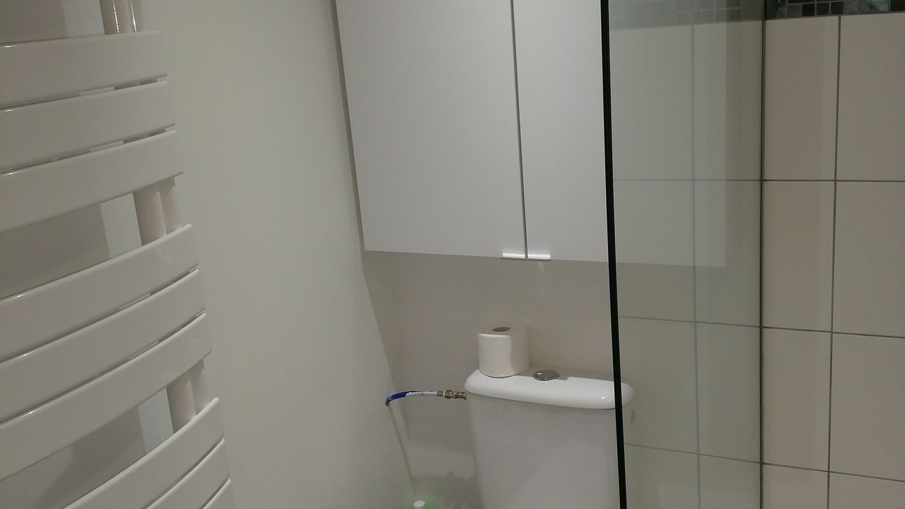 Photo of Bathroom in Begles