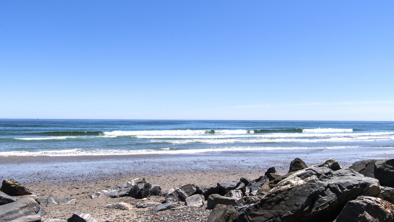 Photo of Others in Hampton