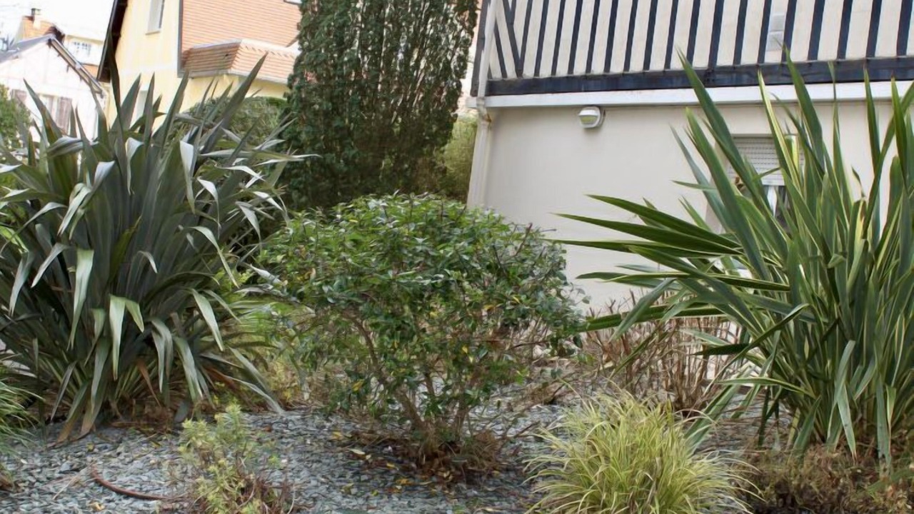 Photo of Others in Deauville City Centre