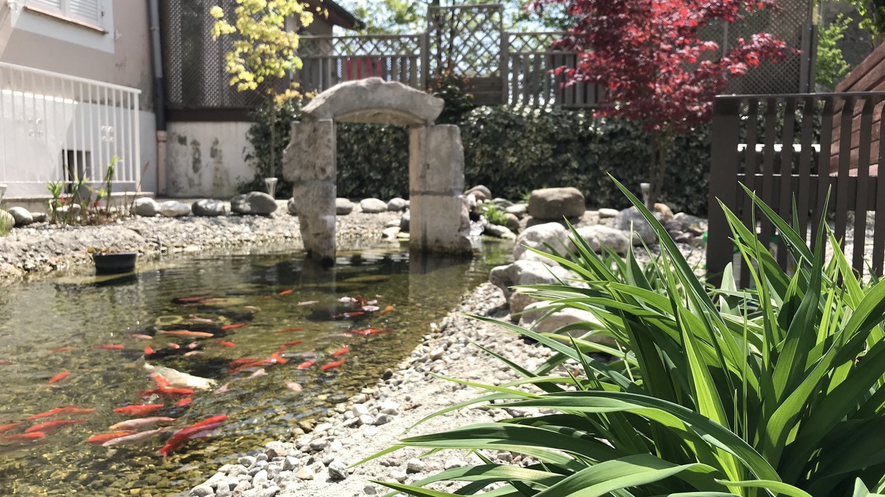 Photo of Outdoor in Roquebilliere