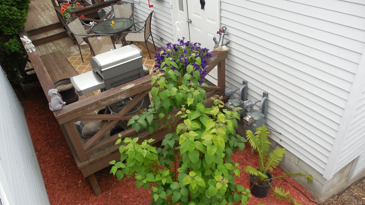 Photo of Outdoor in Port Huron