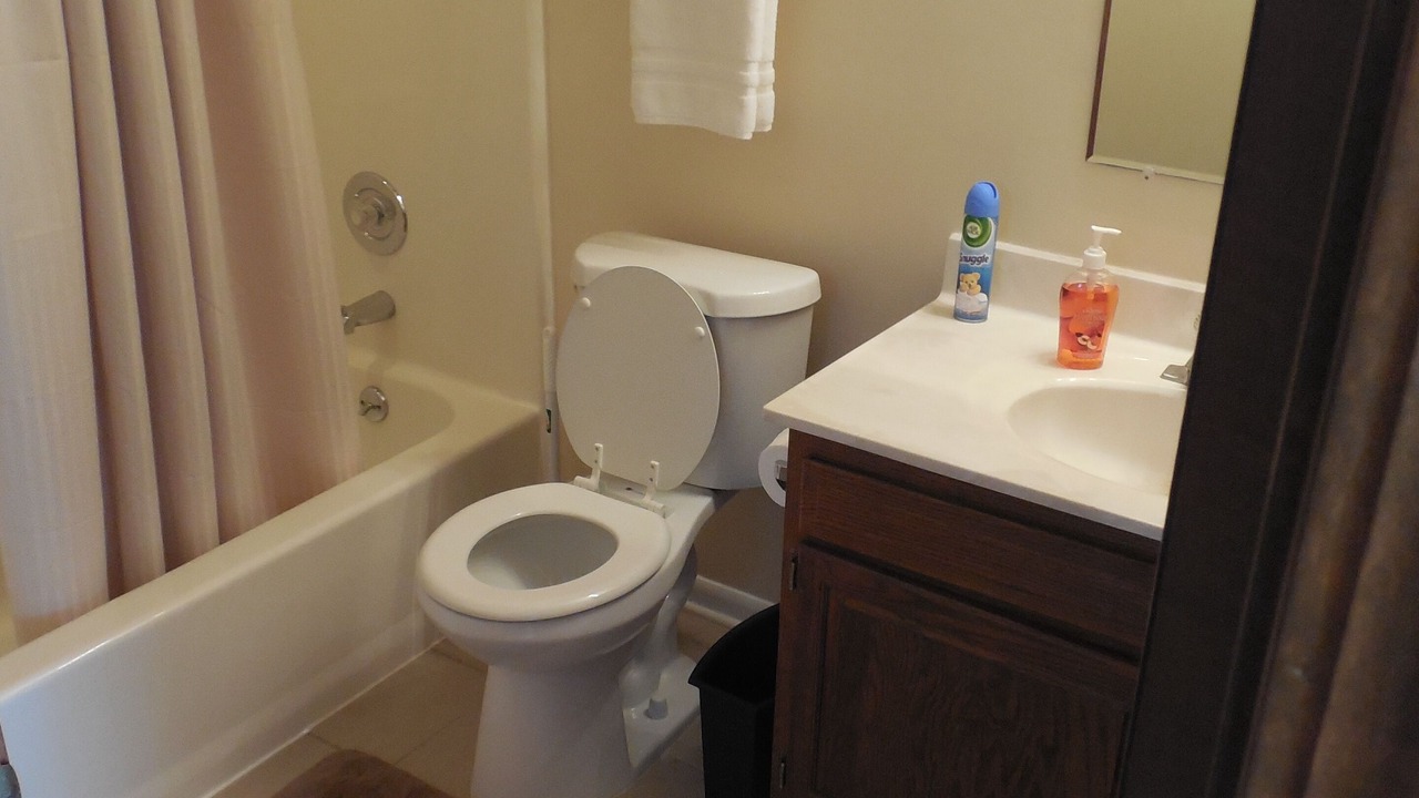 Photo of Bathroom in Port Huron
