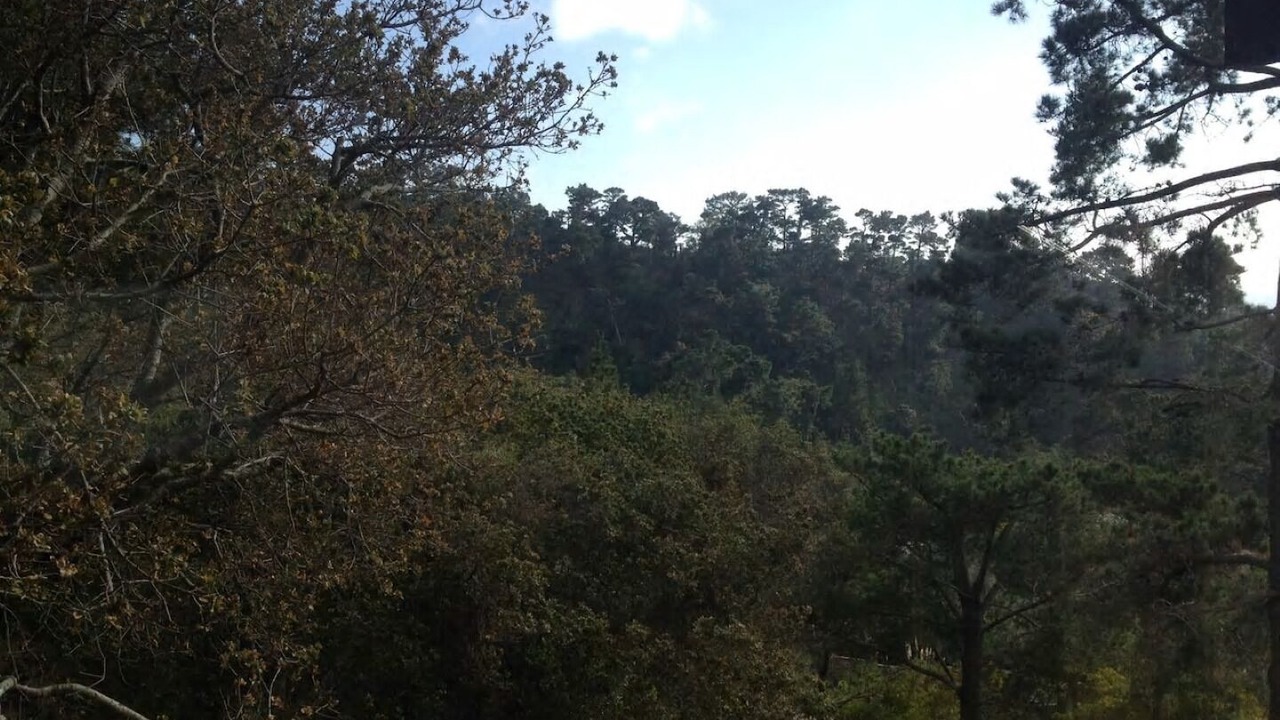 Photo of Outdoor in Carmel Highlands