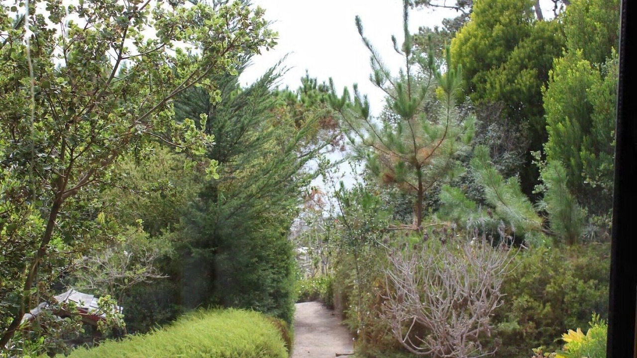 Photo of Others in Carmel Highlands