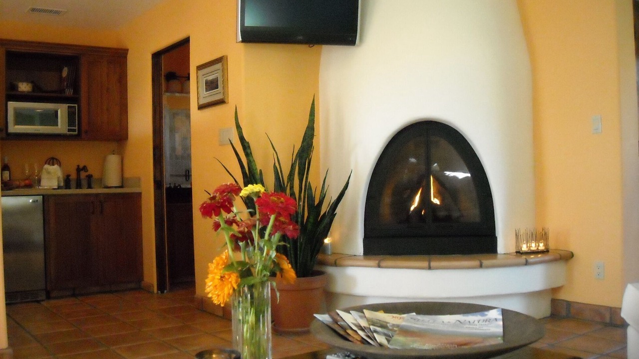 Photo of Livingroom in Nice