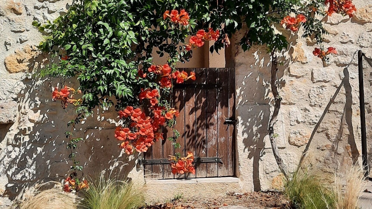 Photo of Outdoor in Caussens