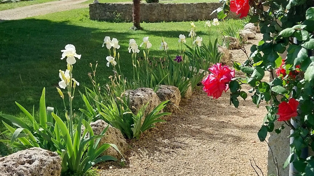 Photo of Outdoor in Caussens