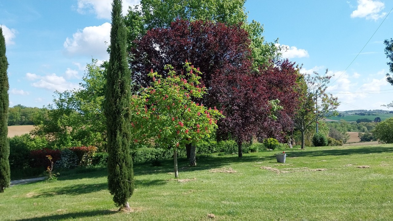 Photo of Outdoor in Caussens