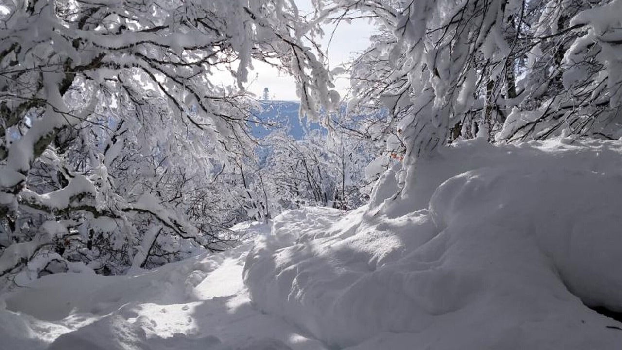Photo of Others in Chalmazel-Jeansagniere