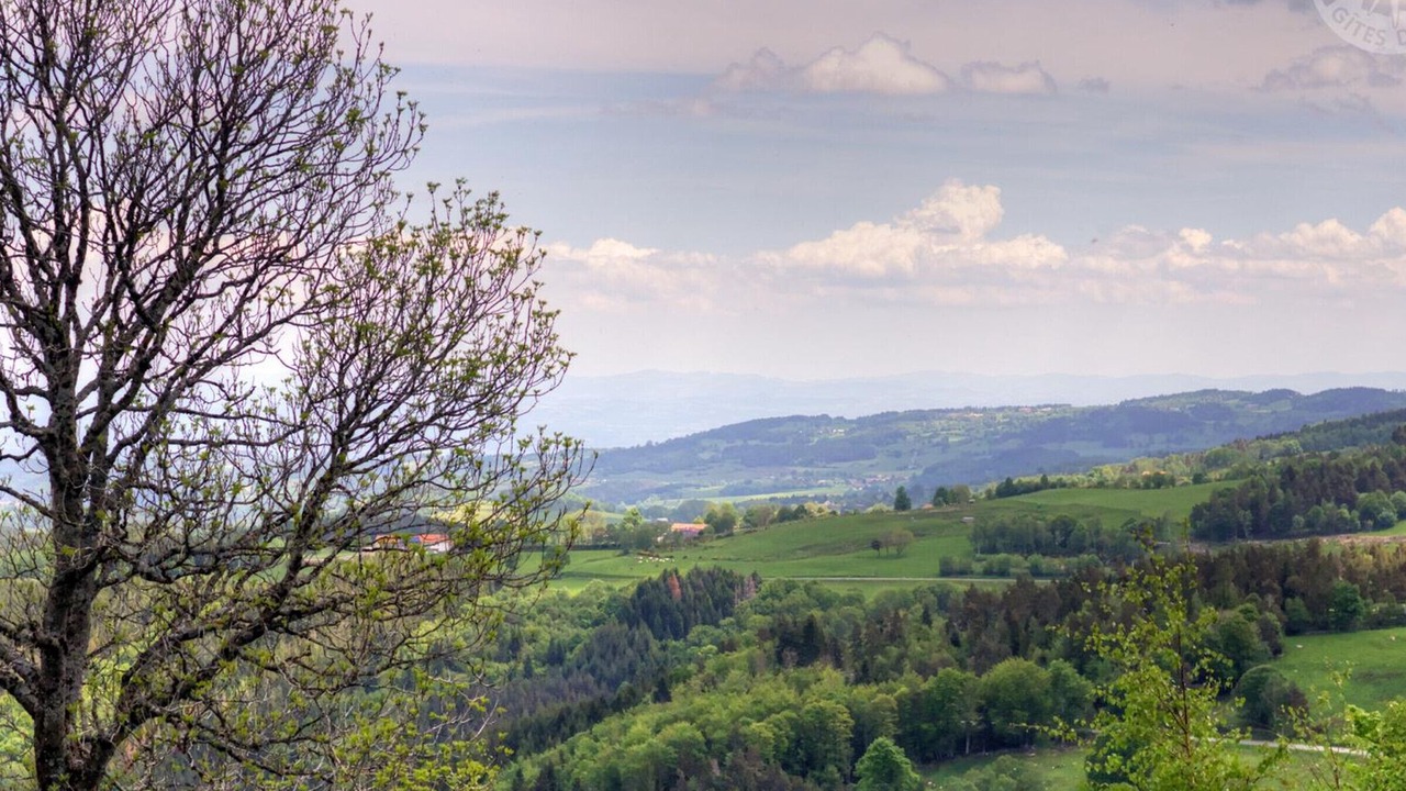 Photo of Bedroom in Chalmazel-Jeansagniere