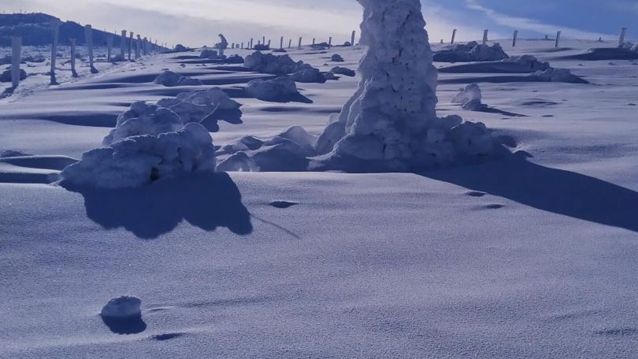 Photo of Others in Chalmazel-Jeansagniere