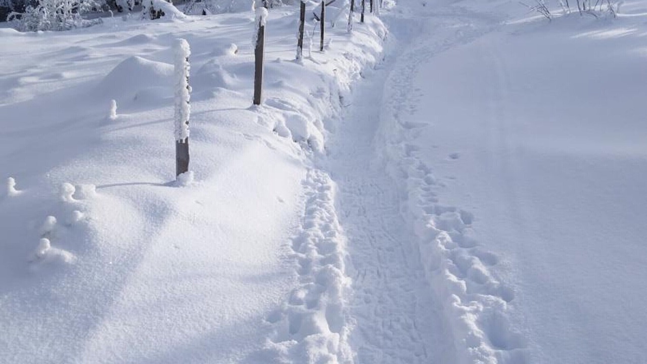 Photo of Others in Chalmazel-Jeansagniere