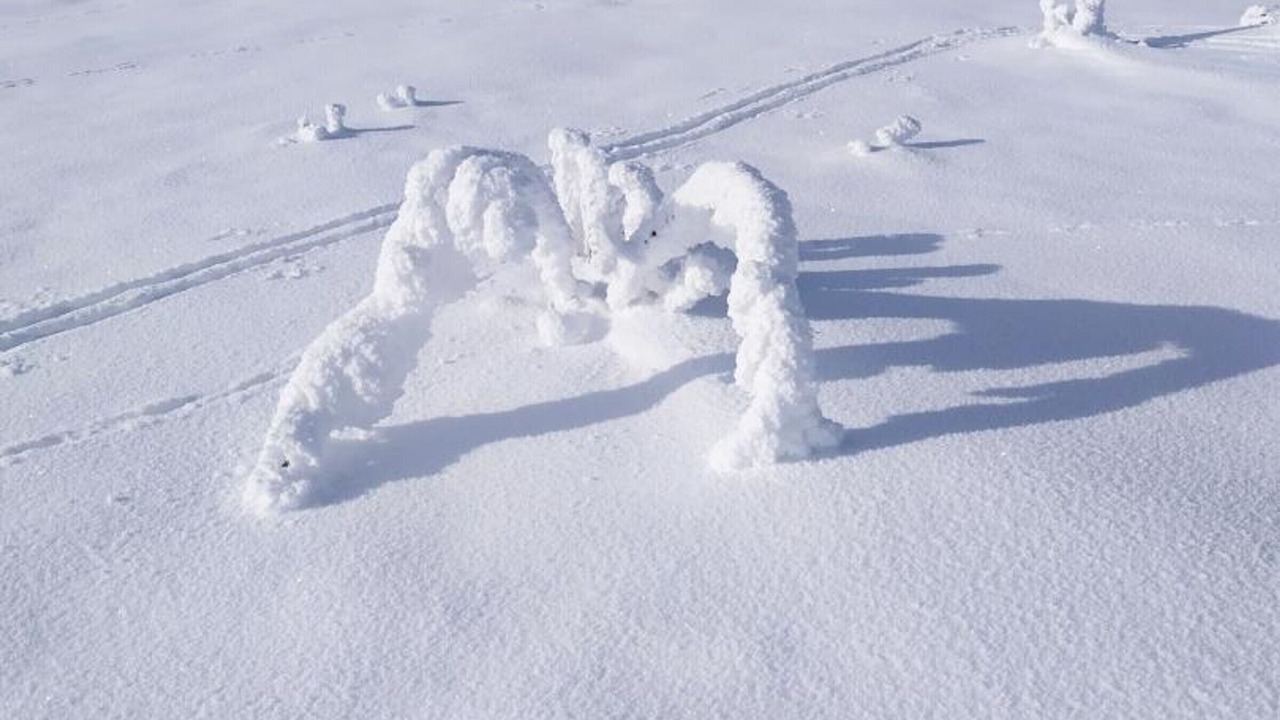 Photo of Others in Chalmazel-Jeansagniere