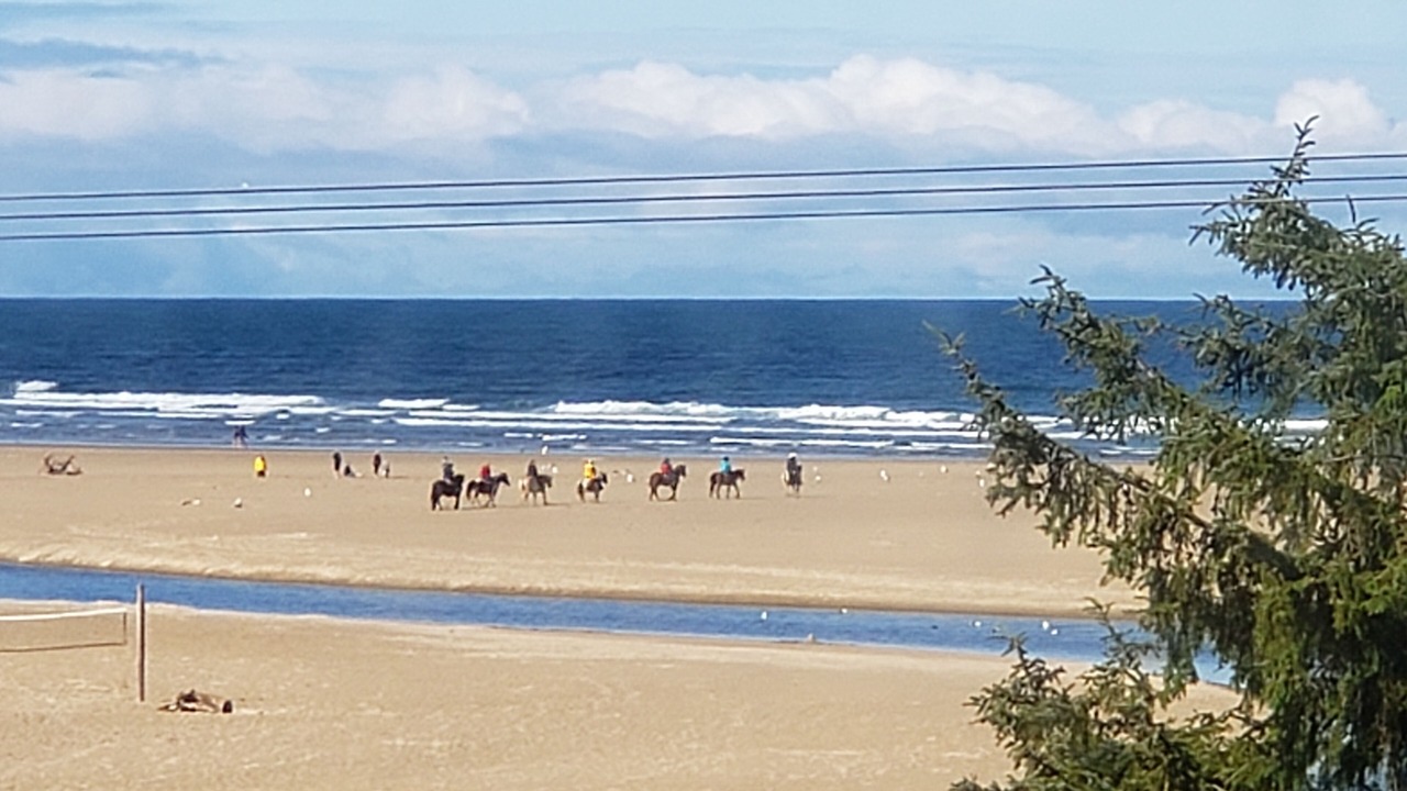 Photo of Others in Cannon Beach