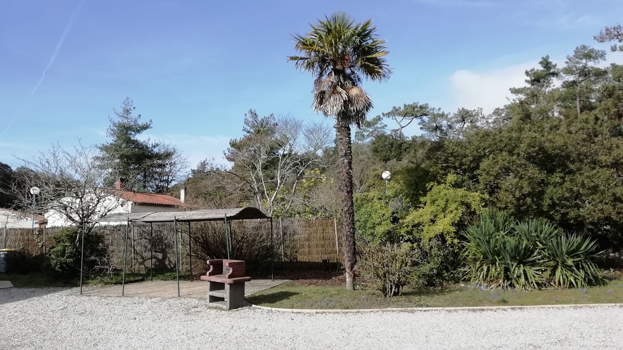 Photo of Outdoor in Les Conches