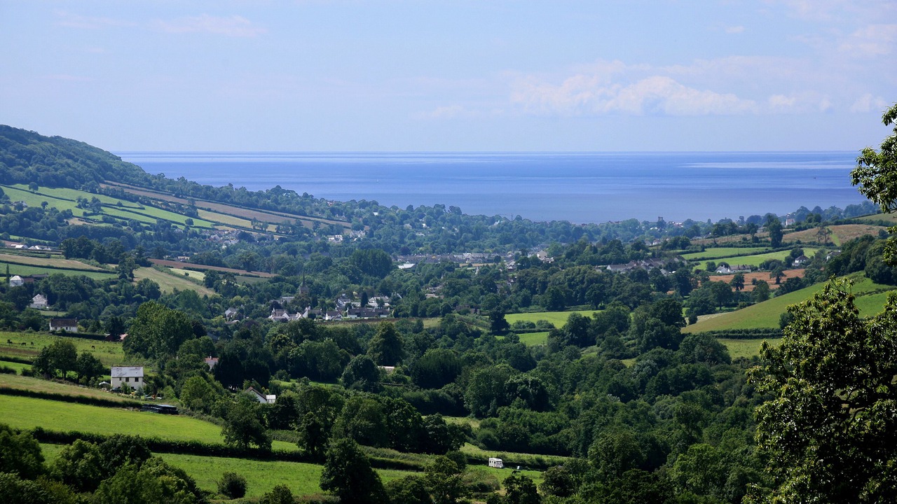 Photo of Others in Sidmouth