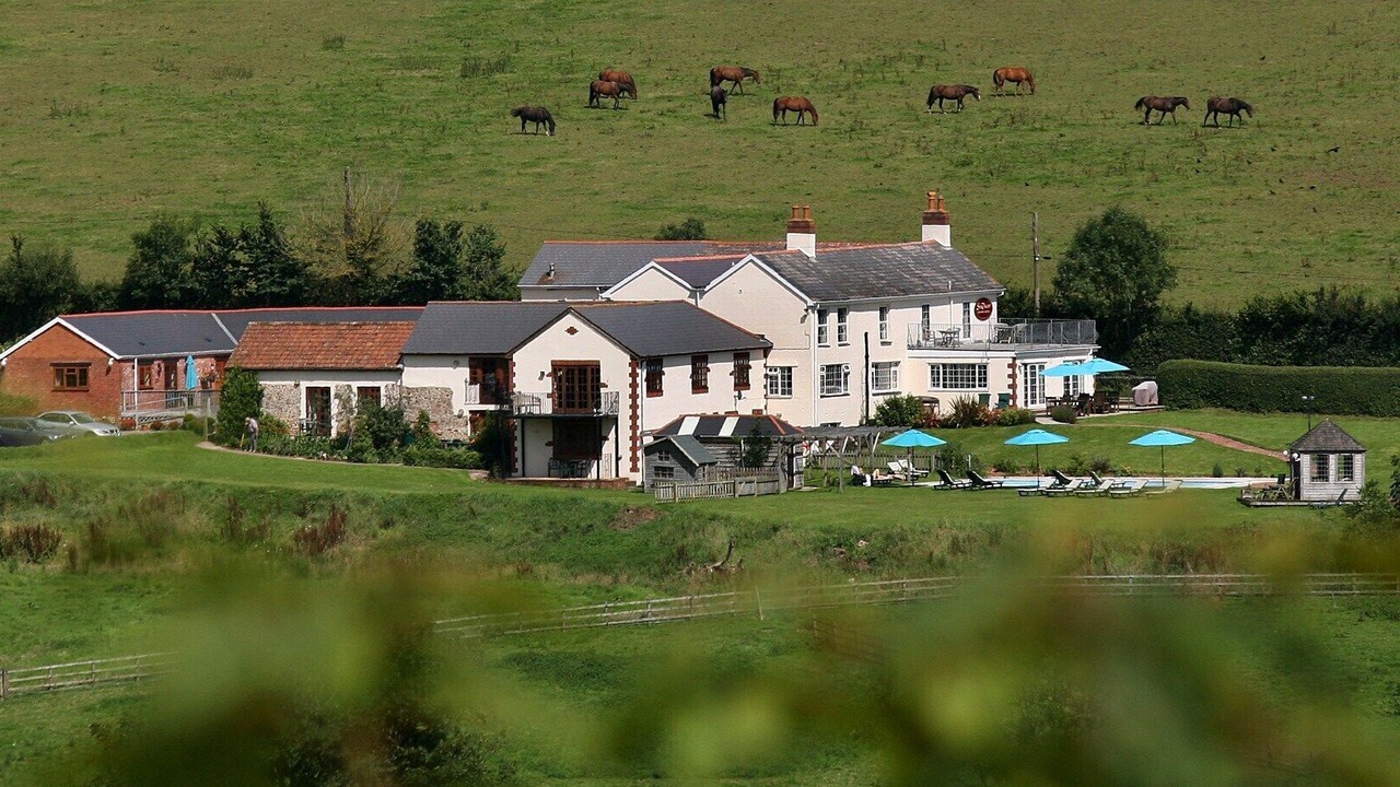 Photo of Others in Sidmouth