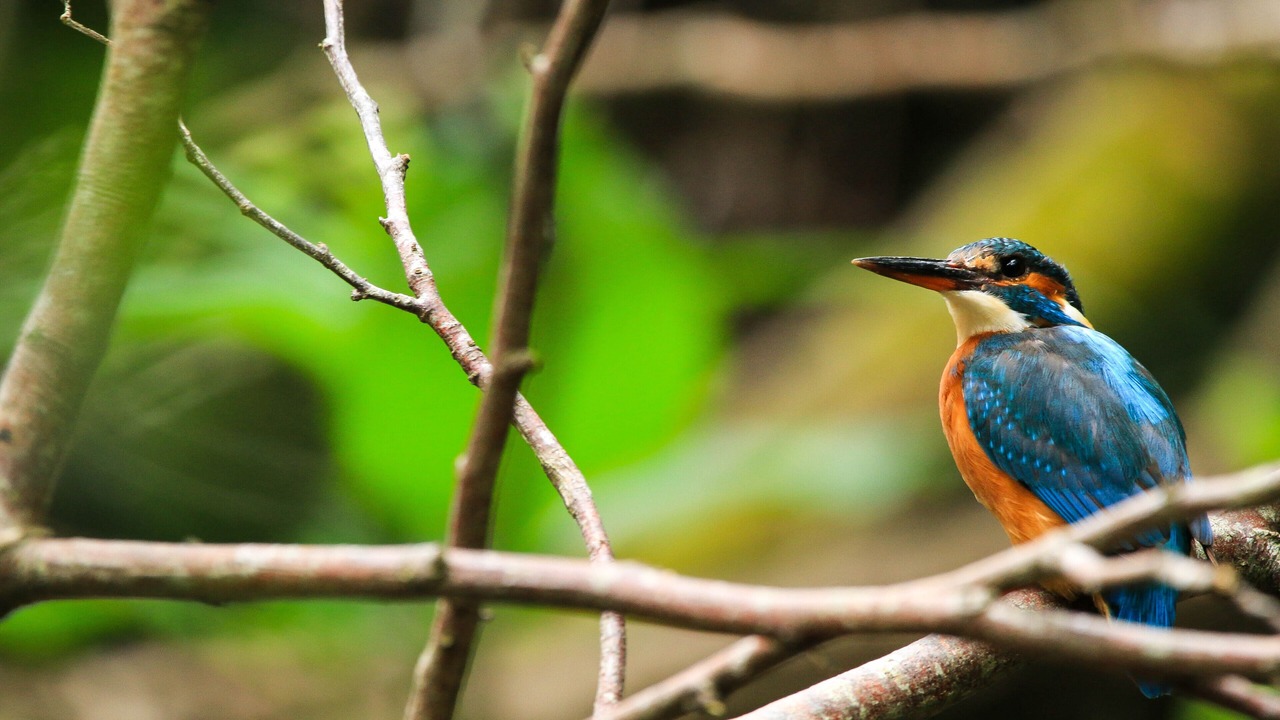 Photo of Others in Sidmouth