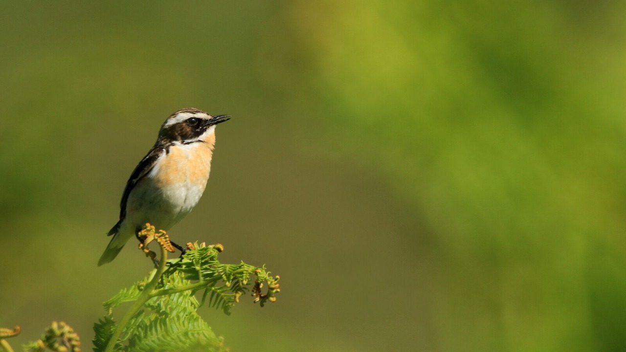 Photo of Others in Sidmouth