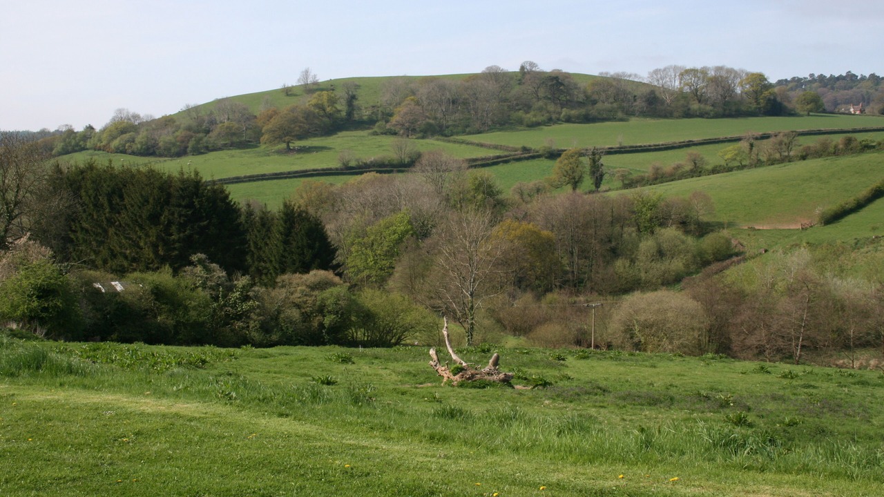 Photo of Others in Sidmouth