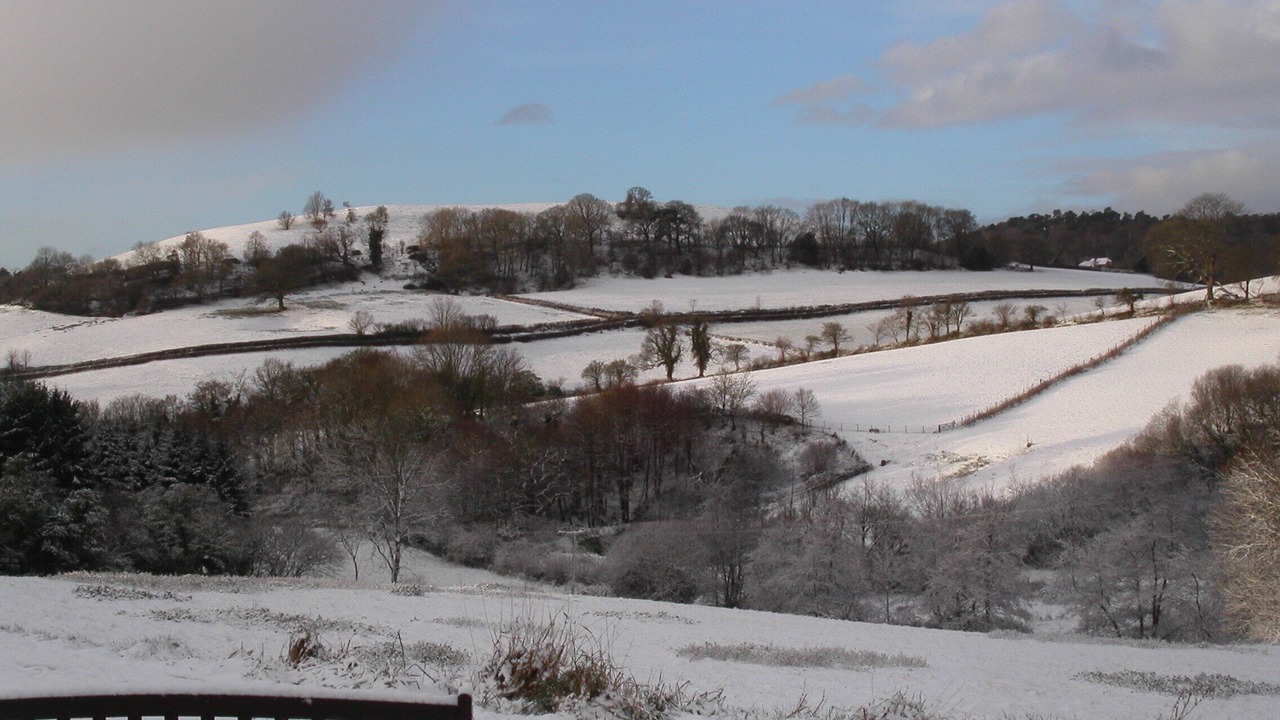 Photo of Others in Sidmouth