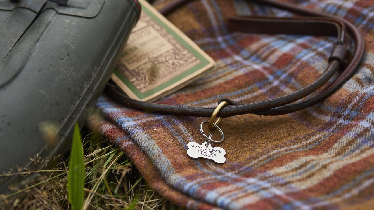 Photo of Others in Sidmouth