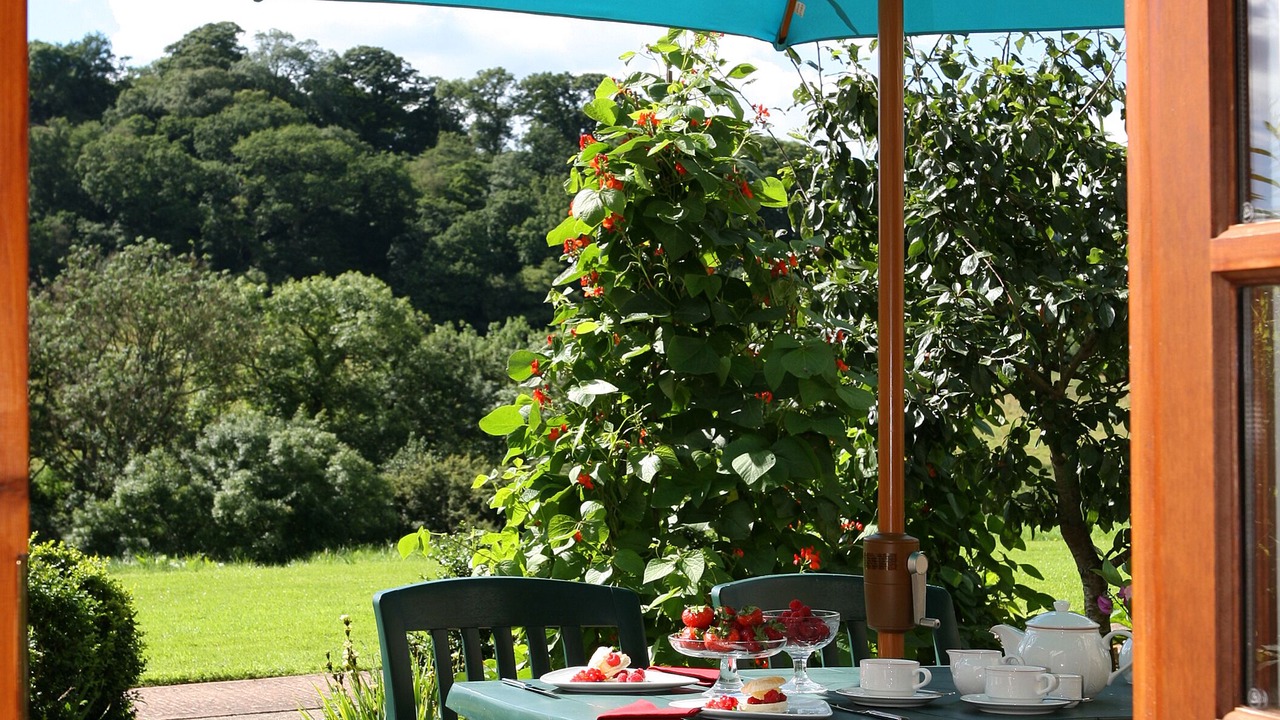 Photo of Others in Sidmouth