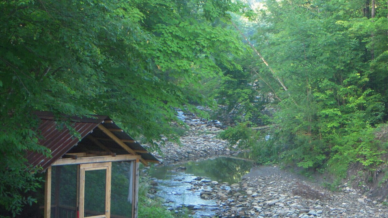 Photo of Outdoor in Sutton