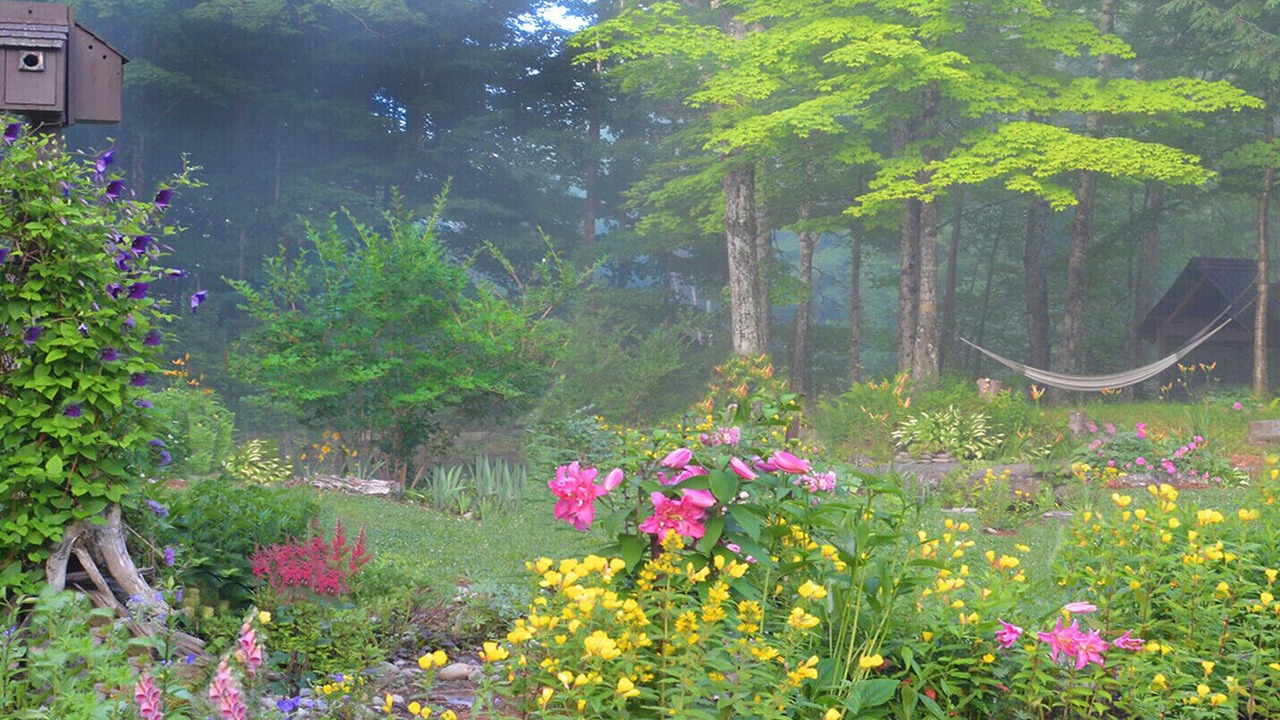 Photo of Outdoor in Sutton