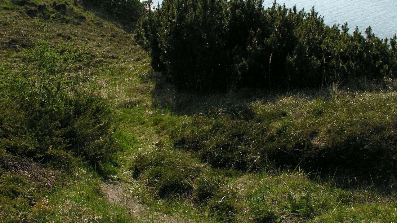 Photo of Outdoor in Nykobing Mors